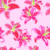 Pink Island Lily